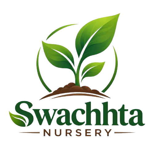 Swachhta Nursery Logo